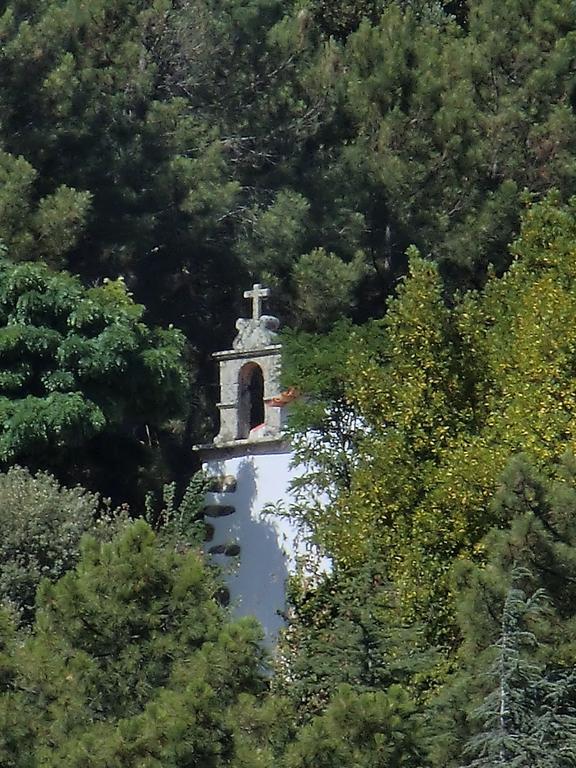 Vakantieboerderij Quinta Aveleiras *